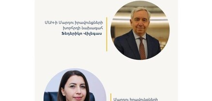 Մարդու իրավունքների պաշտպանը հանդիպել է ՄԱԿ Մարդու իրավունքների խորհրդի նախագահի հետ