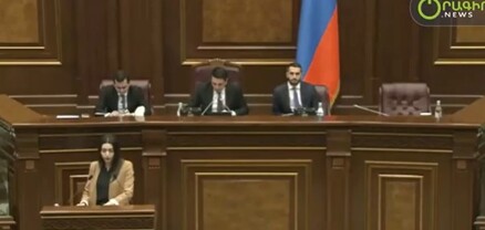 Նախագահություն չէ, նախագահ և տեղակալներ. Ալեն Սիմոնյանը «նեղսրտեց» ու նկատողություն արեց
