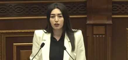Ձերբակալվածների պահման վայրերում զուգարանը լոգարանից առանձնացված չէ․ փոխնախարար
