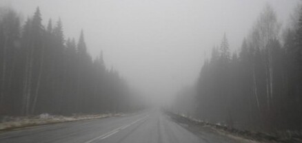 Տաթև-Գորիս ճանապարհին մառախուղ է