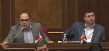 «Սնդիկ-նապաստակ» փարթի՝ ԱԺ-ում
