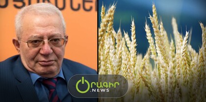 Կա հացահատիկի ցրտահարության մեծ վտանգ. ահազանգում է գյուղատնտեսը