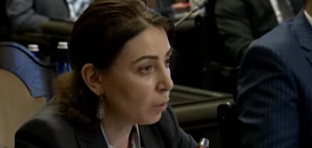 Մեր խնդիրն այն չէ, որ կոռուպցիան ծավալվի, մենք էլ հետևից վազելով բռնենք․ Փաշինյան