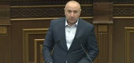 Մենք չենք կարող այլ պետություններից պահանջել՝ լինել ավելի հայամետ, քան Հայաստանի իշխանությունը․ Թևանյան