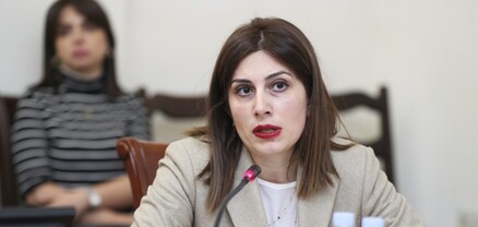 Աղը վնաս է, Ամուլսարը՝ ոչ․ Անահիտ Ավանեսյանի երկաթյա տրամաբանությունը