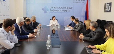 Առողջապահության նախարարությունում քննարկվել է Մանկական նյարդաբանության և նյարդավիրաբուժության ոլորտում առկա իրավիճակը