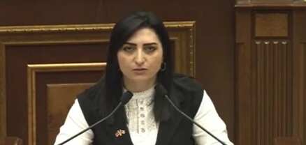 Իրականում բռնության դեպքերը շատ ավելին են, պարզապես դրանք չեն բարձրաձայնվում. Թագուհի Թովմասյան