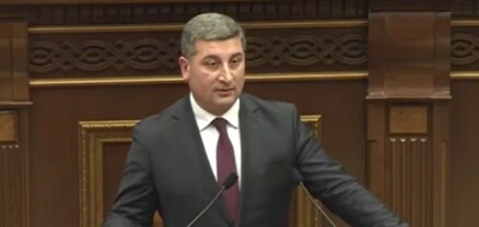Թափառող շների հարցը սուր է, բայց ոչ միայն Շիրակի մարզում․ Սանոսյան