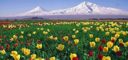 Սպասում է անձրև․ եղանակը Հայաստանում