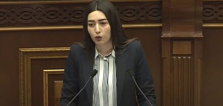 Զենքի շրջանառության մասին օրենքի կիրառումը կհետաձգվի մինչև հուլիսի 1-ը