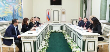 Գլխավոր դատախազի տեղակալները ԵԽ գործընկերների հետ քննարկել են համագործակցությունը հեռանկարները