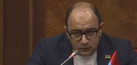 Եթե ասեիք՝ պետք է զրկել անձեռնմխելիությունից, որովհետև այդպես է պտեք, ՔՊ-ն կողմ կքվեարկեր. Հայկ Մամիջանյան