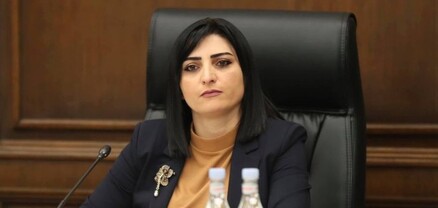 Իմ դիմումը ՀՀ գլխավոր դատախազին վերջապես ուղարկվեց. Թագուհի Թովմասյան