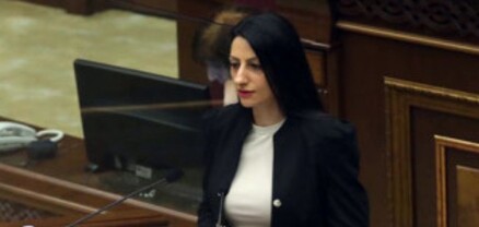 Չկա պետության օրինակ, որտեղ ընդհանրապես գոյություն չունի պետական հարկադրանքի ինստիտուտը. ՄԻՊ թեկնածու