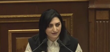 Թագուհի Թովմասյանի ելույթը՝ թեժ իրավիճակ ստեղծած ակցիայից առաջ