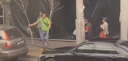 Նորատունկ 2 ծառ արմատախիլ են արվել