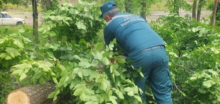 Փրկարարները ծառը մասնատել և հեռացրել են ճանապարհի երթևեկելի հատվածից