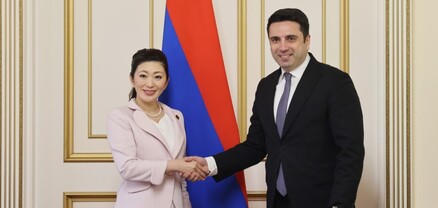 ԱԺ նախագահը մանրամասներ է հայտնել Լաչինի միջանցքի ճգնաժամի հետեւանքով առաջացած հումանիտար աղետից