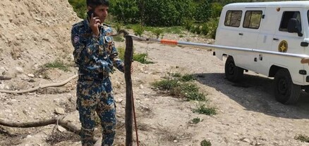 Ասկերանում օձը հայտնվել է բնակելի տանը