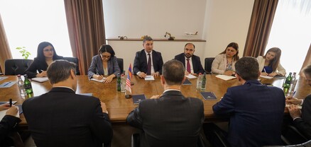 Գնել Սանոսյանը և Ջասթին Ֆրիդմանը քննարկել են Հայաստանում էներգետիկայի ոլորտի խնդիրներն ու մարտահրավերները