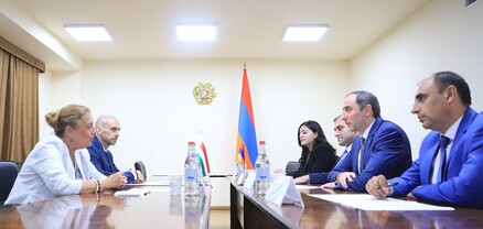 ԲՏԱ նախարարը Հունգարիայի դեսպանի հետ քննարկել է երկկողմ հետաքրքրություն ներկայացնող հարցեր