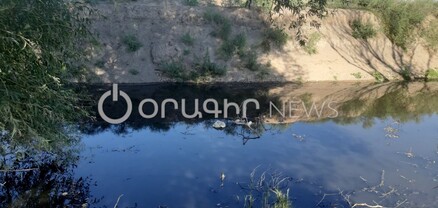 Գիշերը հոտից չենք կարողանում քնել․ խոլերայի վտանգ Արմավիրի գյուղերում