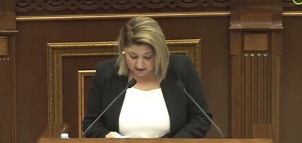 Հլը մի վայրկյան, էլի, էս ի՞նչ ա, դուրս եկեք ու դուրսը խոսեք. Ալեն Սիմոնյանը բարկացավ