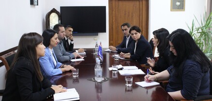 ՄԻՊ-ը ներկայացրել է Արցախից բռնի տեղահանված անձանց իրավունքների պաշտպանությանն առնչվող հարցեր