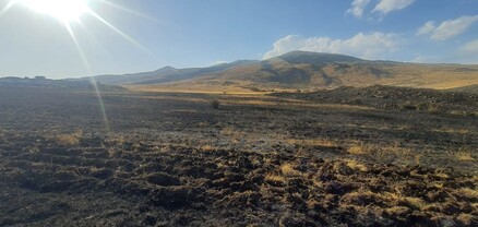 Այրվել է մոտ 6 հա բուսածածկույթ