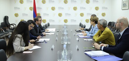 Քննարկվել են ԼՂ-ից բռնի տեղահանված անձանց իրավունքների պաշտպանությանն առնչվող հարցերը