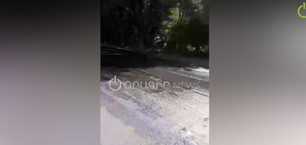 Կոյուղատարը վնասվել է, գարշահոտությունից խեղդվում ենք, իսկ «Վեոլիա Ջուր»-ը խաբում է