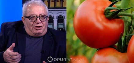 Ապուշը կարող է այս սեզոնին 10․000 դրամով լոլիկ առնել․ գյուղատնտես