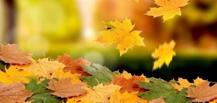 Օդի ջերմաստիճանը կբարձրանա 2-3 աստիճանով