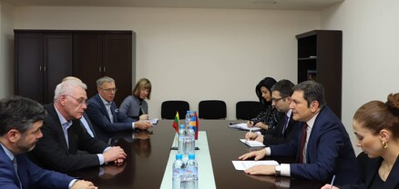 ԱԳ նախարարի տեղակալն ընդգծել է Լիտվայի հետ ներկա հարաբերությունների բարձր մակարդակն ու ձեռք բերված դինամիկան