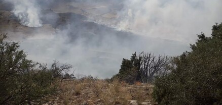 Քամու ուժգնության հետևանքով «Դիլիջան» ազգային պարկում բռնկված հրդեհը շարունակում է տարածվել