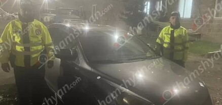 «Հարսնացուն Գորիսից». ոստիկանները հայտնաբերել են երիտասարդ աղջկան առևանգողներին. shamshyan.com