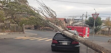 Երևանում մեքենայի վրա ծառ է ընկել