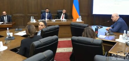 Մենք կարողանում ենք անհամեմատ ավելի շատ երկրներից զենք բերել, քան Ձեր կուսակցությունը կերազեր․ Միրզոյանը՝ Վարդանյանին