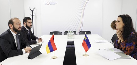 Արարատ Միրզոյանը հանդիպել է Լիխտենշտայնի ԱԳ նախարարի հետ
