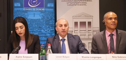 Արդարադատության նախարարի տեղակալ Լևոն Բալյանը ելույթ է ունեցել ԵԽ համակարգող խորհրդի նիստին
