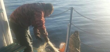 Սևանա լճից 18 ձկնորսական ցանց է դուրս բերվել