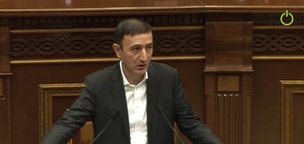 Ես էլ որ ընդդիմադիր լինեի, հավեսով ամեն ինչ կքննադատեի․ Թունյան
