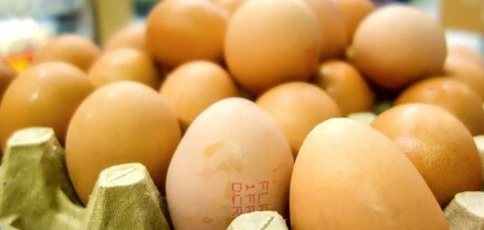Ռուսաստանն Ադրբեջանից ստացել է 3,3 միլիոն ձու