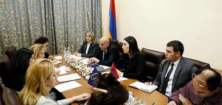 ՆԳ նախարարի տեղակալ Արփինե Սարգսյանն ընդունել է ԵԽ պատվիրակությանը