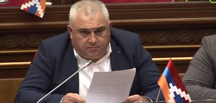 Գյուղացու մատից փուշ չեք հանում. պատգամավորը` Փաշինյանին
