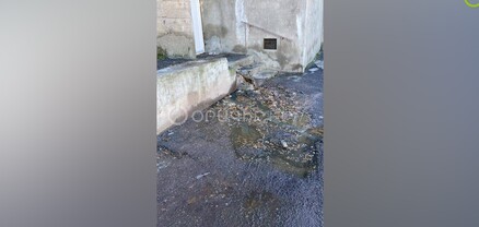 Խոլերայից մարդ է մահանալու, կոյուղաջրերը լցվում են բակ․ Շենգավիթի բնակիչներն ահազանգում են 