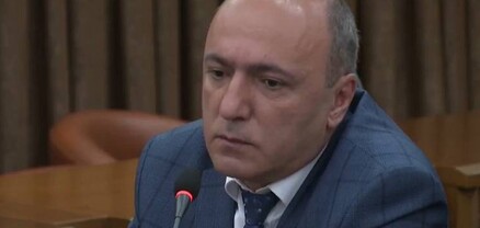 Երևանում մեքենաների վրա ընկած ծառը կենսունակության ավարտին մոտ էր․ Արմեն Բեգոյան