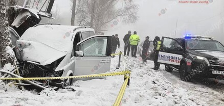 Mercedes Viano-ն բախվել է սննդի կետի սառնարանին, ծառին. 6 վիրավորներից մեկը երեխա է, մեկը՝ հղի. shamshyan.com