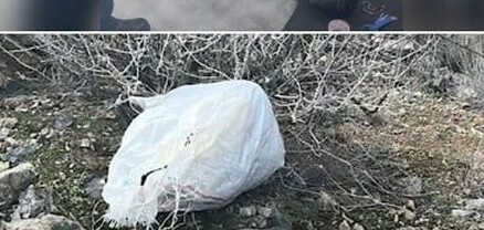 Բացահայտվել է թմրամիջոցների ապօրինի շրջանառությամբ և մաքսանենգությամբ զբաղվող հանցավոր խումբ