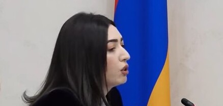 Տուգանքների համար 20 և 30% զեղչ կգործի. ՆԳՆ-ն արտոնություններ է նախատեսում